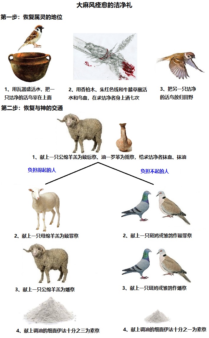 上图：大麻风痊愈的洁净礼分两步。第一步完全是祭司的工作，让求洁净者可以回到营中，恢复属灵的地位；第二步是求洁净者主动的献祭，恢复与神的交通，可以进到会幕亲近神。