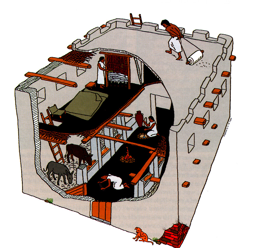 上图：主前1200年左右典型的以色列房子，男主人正在用滚筒刷屋顶。屋顶上有矮墙，温暖的天气可以用作额外的吃饭、工作、睡觉的场所。雨季之后，屋顶需要重新用灰泥刷一遍。