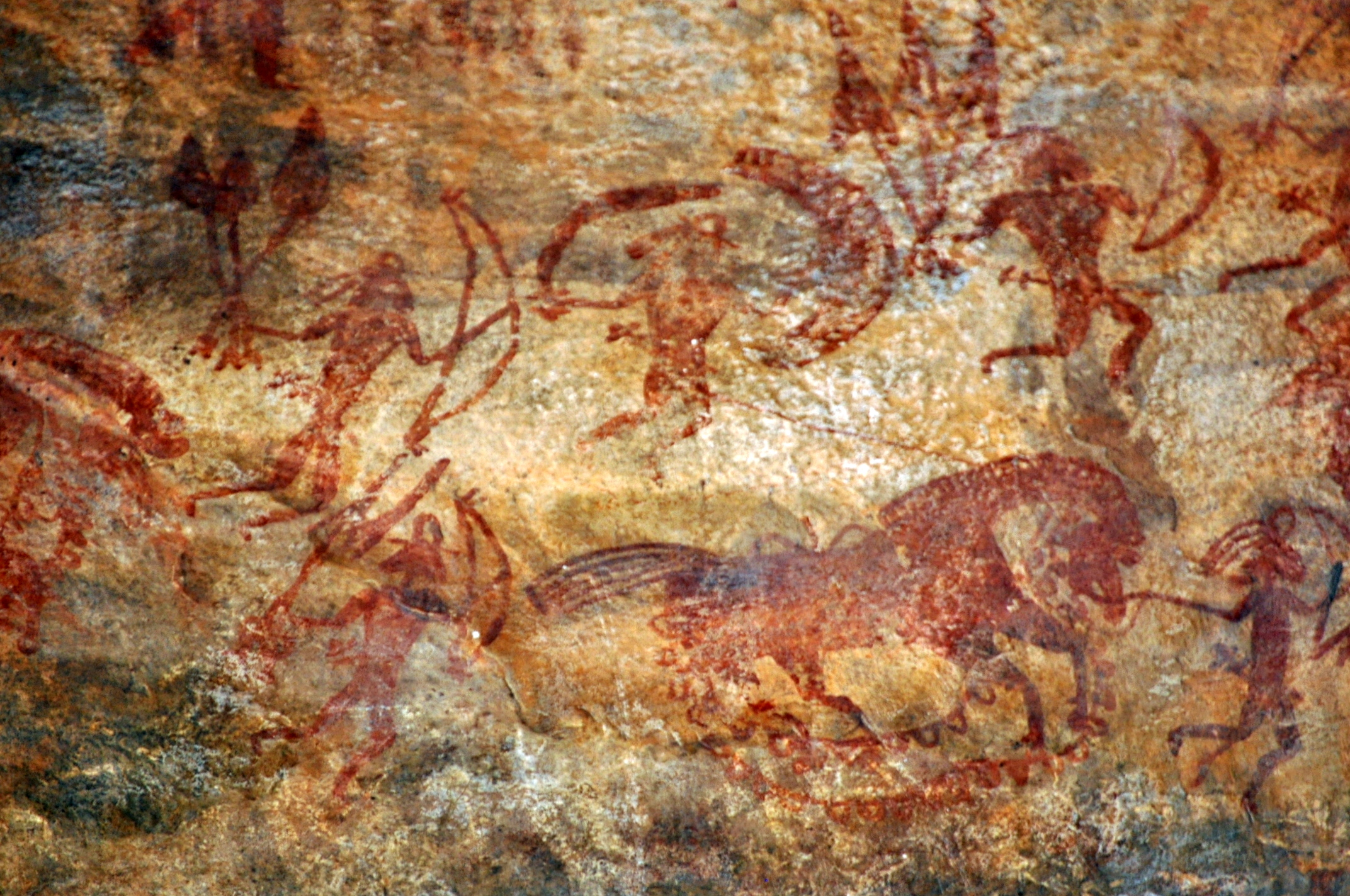 上图：印度比莫贝特卡石窟（Bhimbetka rock shelters）的岩画，画着一个人牵着一匹马。人类大约从主前3500-4000年开始在中亚驯化马。马适合奔跑，具有出色的平衡感和强烈的战斗或逃跑反应（Fight-or-flight response）。